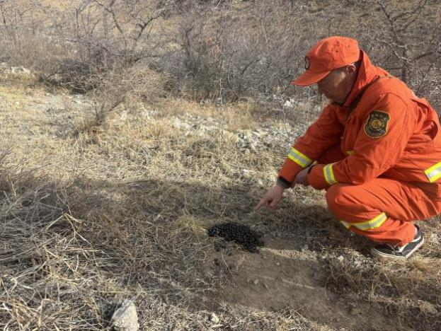 图片27.png 图片27.png