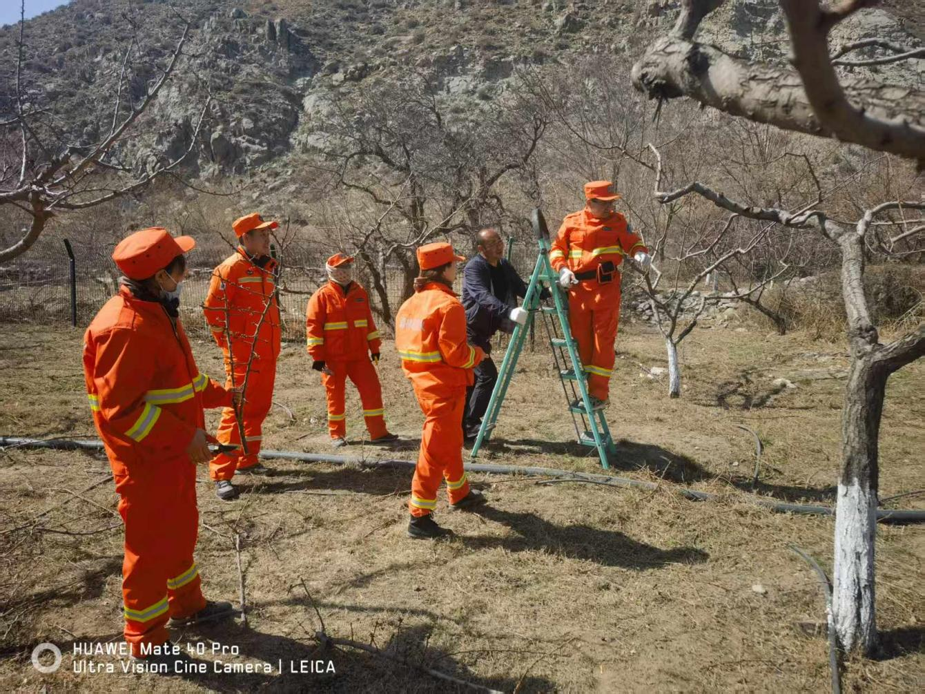 图片6.png 图片6.png