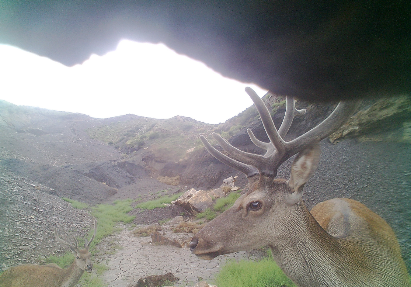 9月7期1.png 9月7期1.png