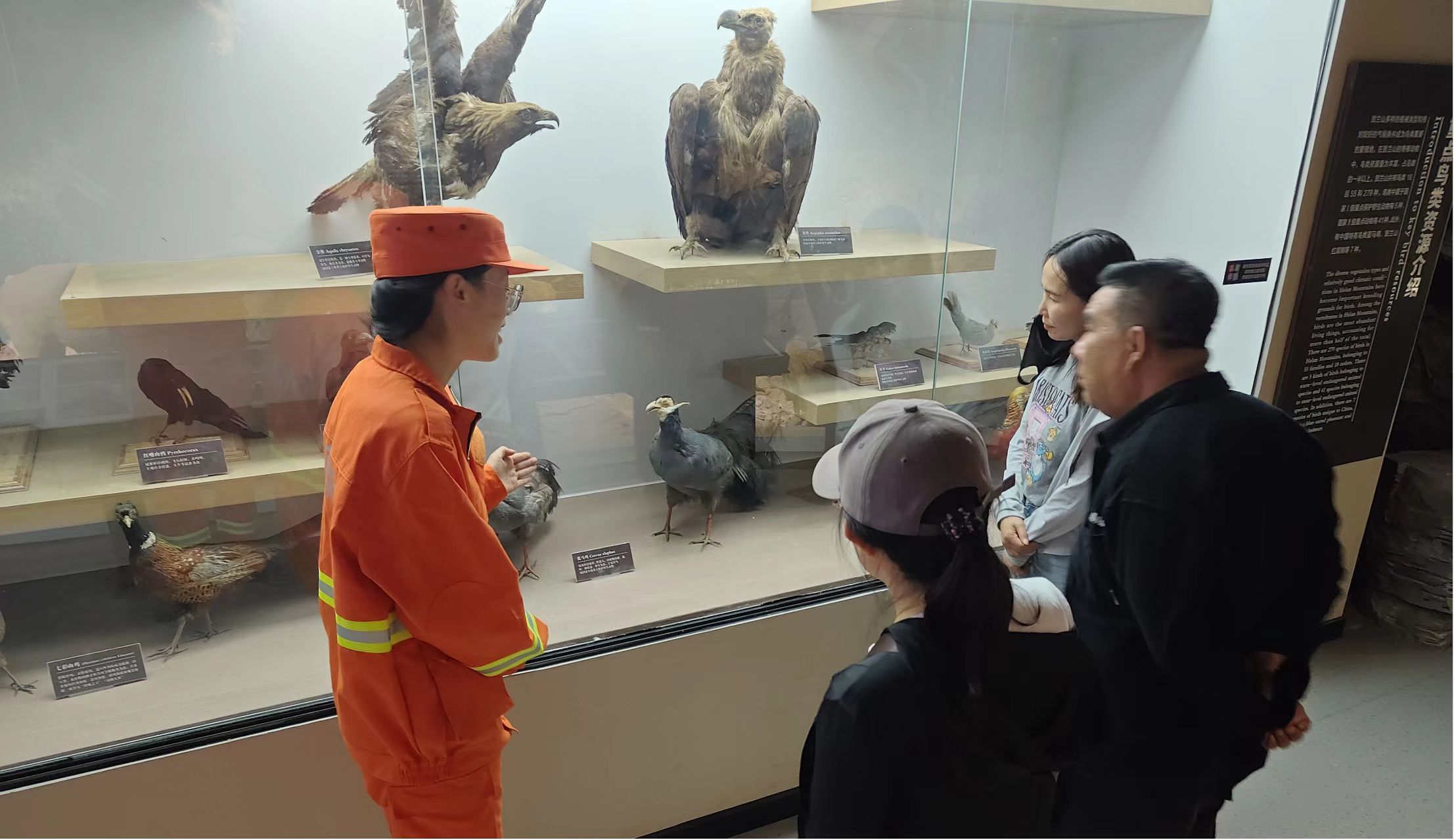 9月12期2.jpg 9月12期2.jpg